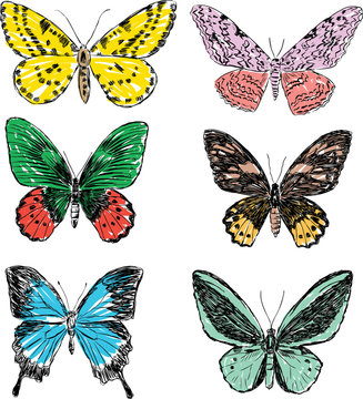 doodle butterflies