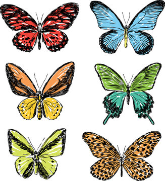 drawn butterflies