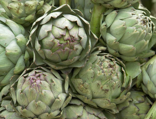 Fototapeta premium Artichokes