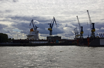 Cranes in the harbour