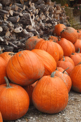 Autumn pumpkins