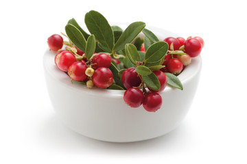 Cowberry in white bowl