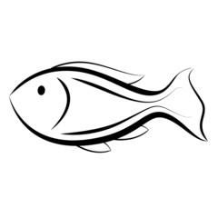 Fisch Design Vektor