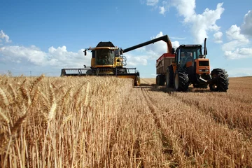 Deurstickers Tarwe oogsten: oogstmachine en tractor © X. BEGUET- Panorama 