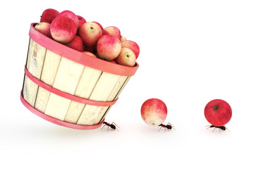 Ants carrying apples standing out from the crowd concept.