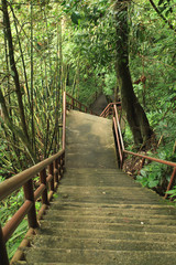 Obraz premium Stone ladder in national park, Khao Yai,Thailand