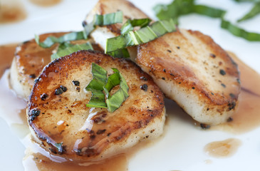 Seared Scallops
