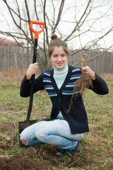 woman resetting  bush sprouts