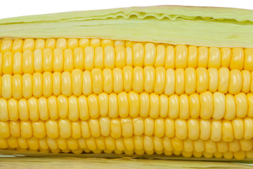 corn cob