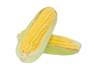 corn cob