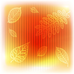 Autumn leaves background.