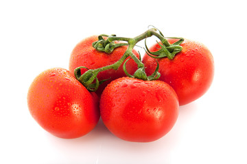 Fresh bunch tomatoes