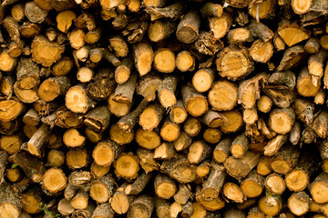 Firewood texture