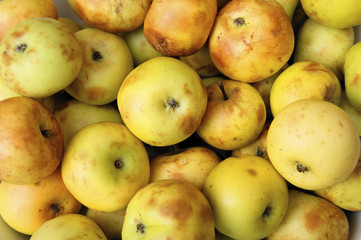 Background from ÿáëîê