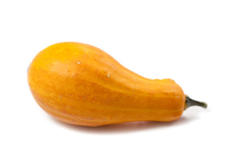 coloquinte potiron courge orange