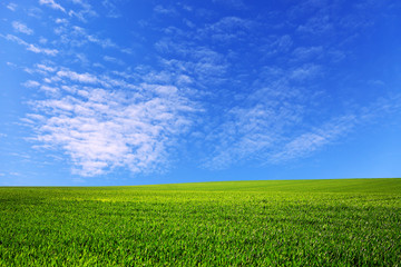 Field and sky