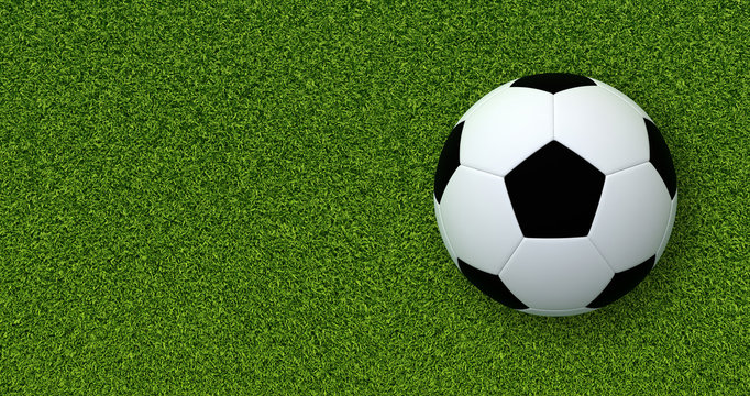 Soccer ball (Football) on green grass