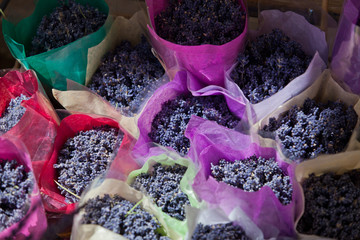 piccoli mazzi di lavanda