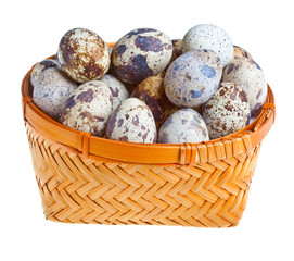 Eggs in basket on white background
