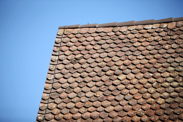 Dach,