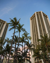 Fototapeta na wymiar Hochhäuser in Hawaii