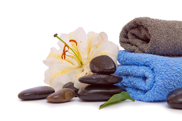 Obraz na płótnie Canvas Massage Steine,Wellness