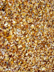 Background from sand and cockleshells