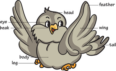 Fototapeta premium Cartoon bird. Vocabulary of body parts.