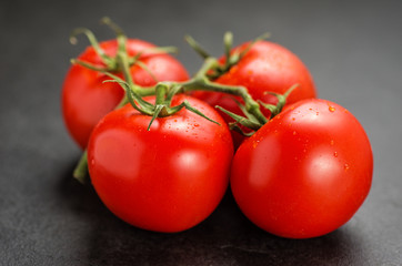 Stauchtomaten auf Schieferplatte