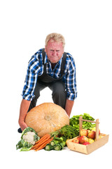 Gardener lifting pumpkin