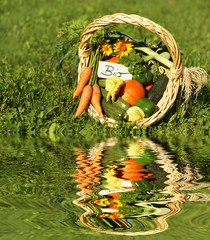 Bio-Gemüse aus eigenem Garten, Biological vegetables, copy space, flood