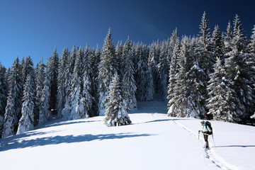 Hiker in winter mountains