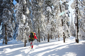 Hiker in winter mountains