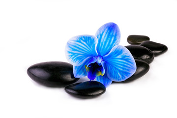 Spa concept- zen pebbles with blue orchid isolated on white