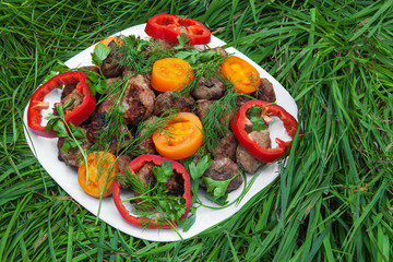 Grilled meat (kebab) and vegetables