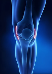 Knee ligament anatomy anterior view