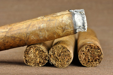brown cigar burned
