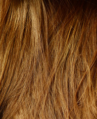 hair background