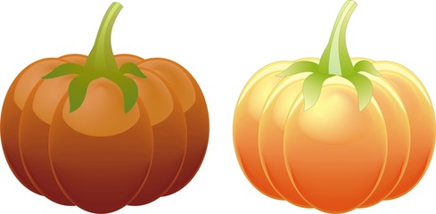 Two different orange pumpkin isolated on white