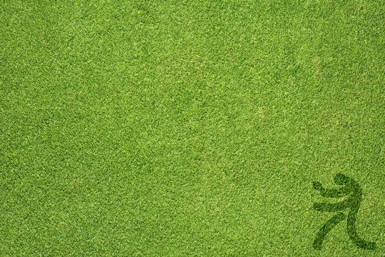 Sport table tennis on green grass texture and  background