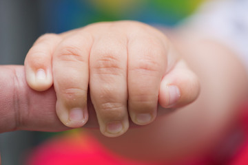 The hand of the child holds a hand of the adult
