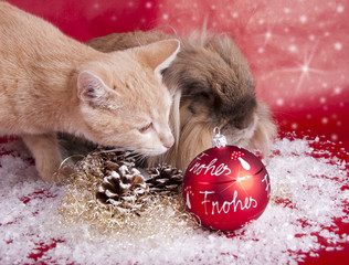 Frohes Fest mit Kaninchen und Katze