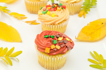 Cupcakes autumn decoration