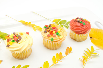 Cupcakes autumn decoration