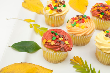 Autumn decoration on cupcake