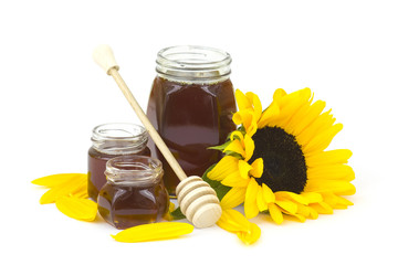 honey and sunflower on white
