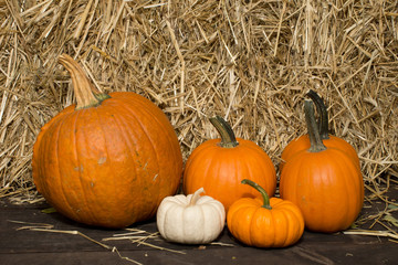 Autumn decoration with scarecrow