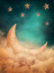 Moon and stars © Elena Schweitzer