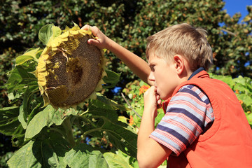 Boy eating sunflower seeds