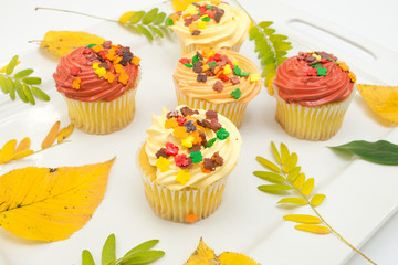 Cupcakes with autumn decoration